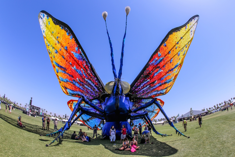 Illustration for article titled Coachella 2015 in photos